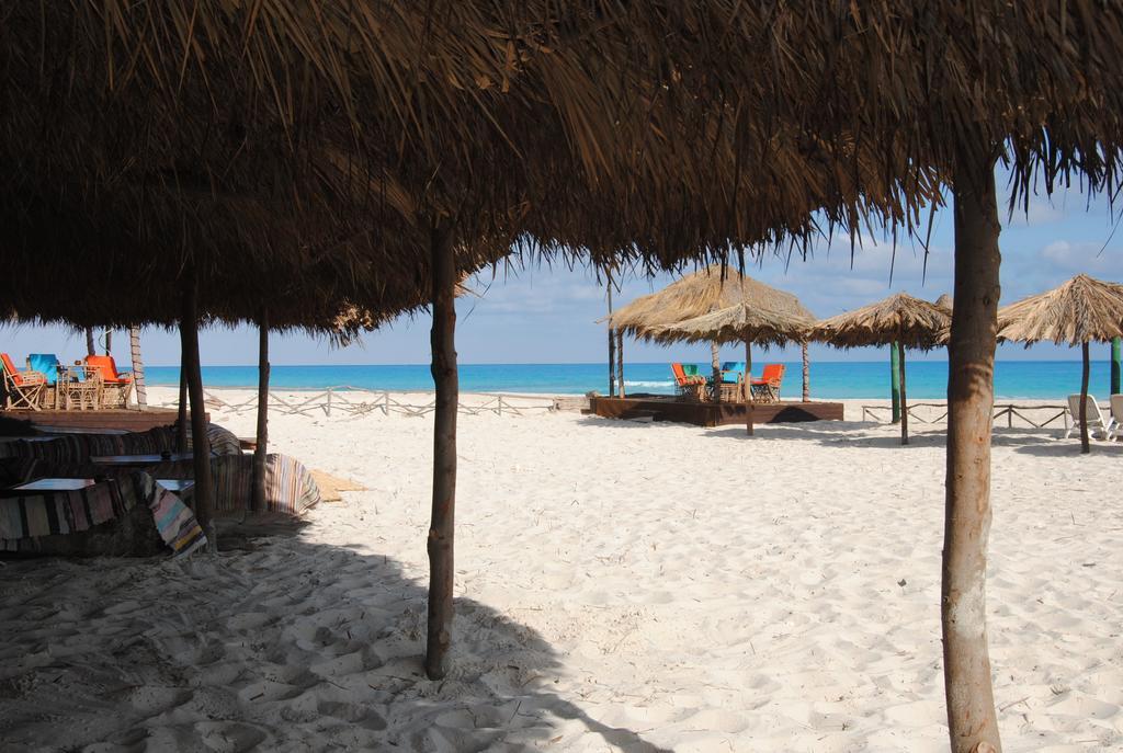 Aida Beach Hotel - Ел Аламейн Екстериор снимка